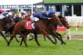 Black Heart Bart victorious in the 2019 NZB Caulfield WFA Championship Series